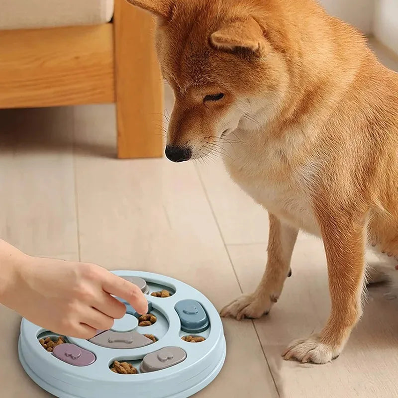 Canova SlowPace™ Dog Training Feeder Bowl & IQ Puzzle